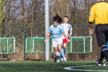 Bild 238 - F Hamburger SV 3 - Blau-Weiss 96 : Ergebnis: 5:1